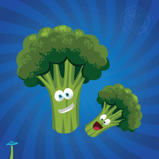 The Broccolis