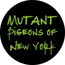 PIGEONS OF NEW YORK: Phase3