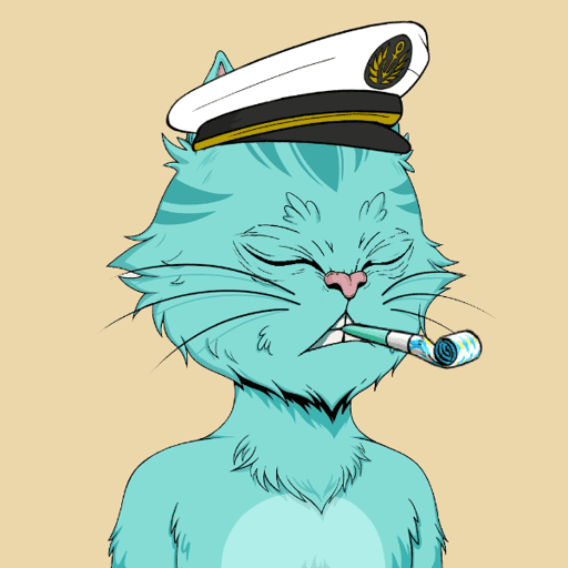 Angry Cat YC #30