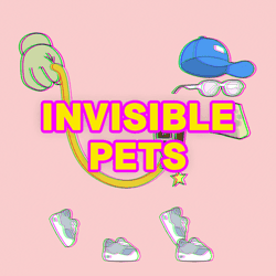 Invisible Pet