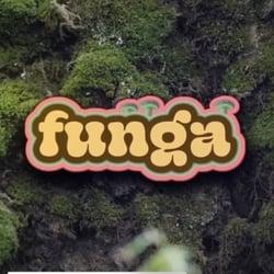 Funga   NFT