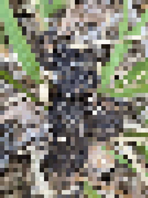 pixelated shit #20