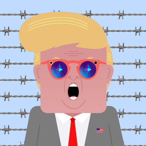 Trump Inmate 45 7870