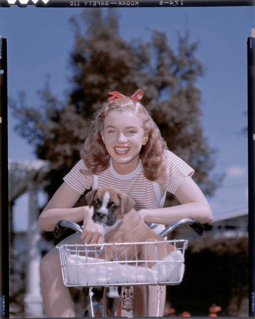 Phto. - Norma Jeane - Innovation of Influence