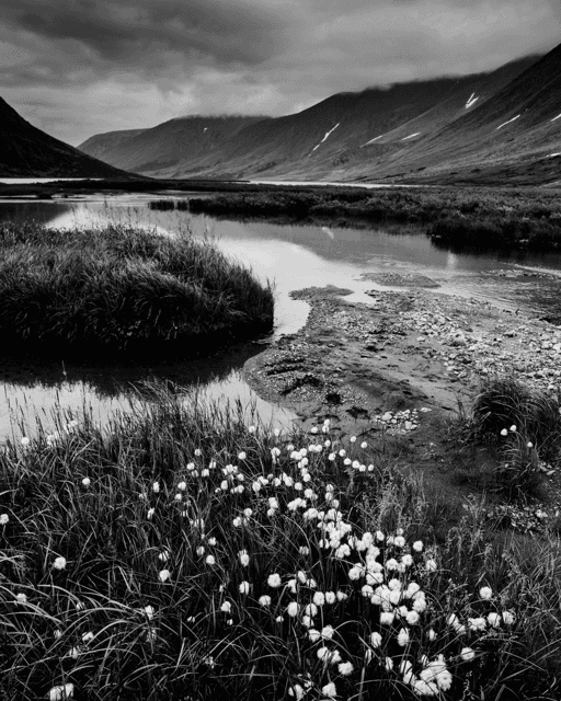 Polar Ural wilderness