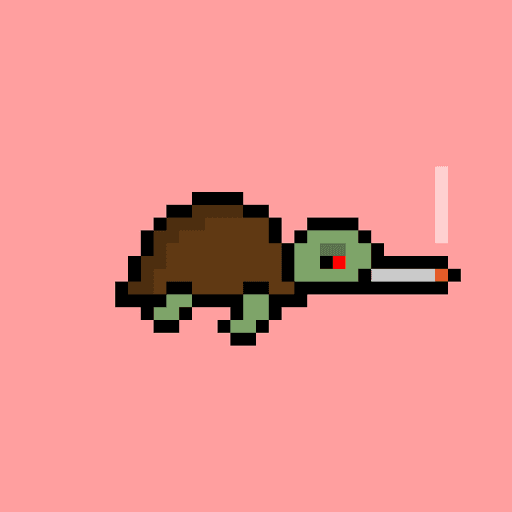 Zeno Turtle #2708