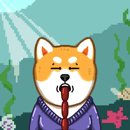 Shiba #1