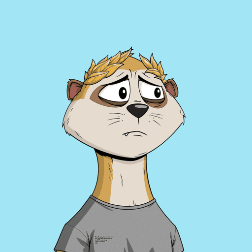 Worried Meerkat #160