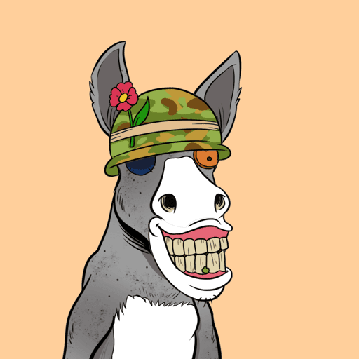 Crazy Donkey #16