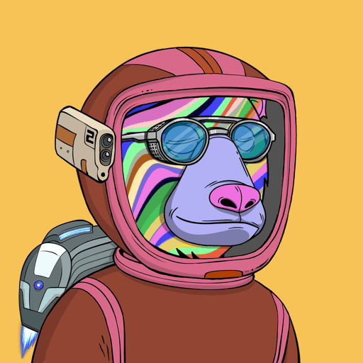 Okay Space Bear #5387