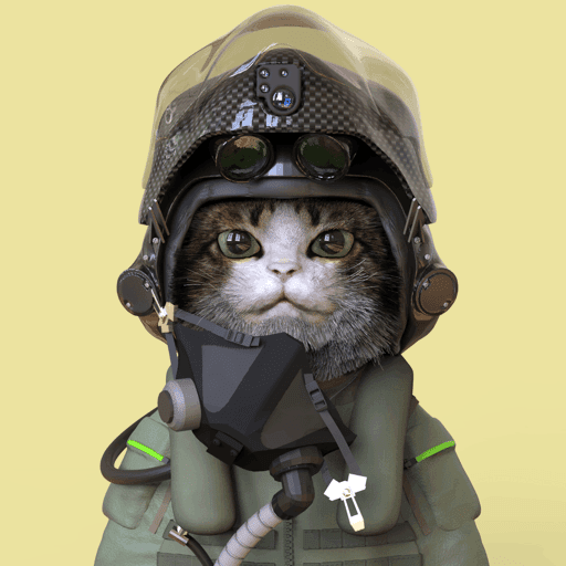 armored cat 043