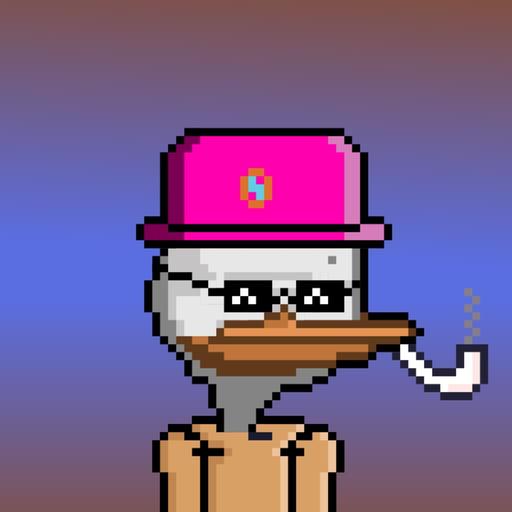 DACK DUCK #31