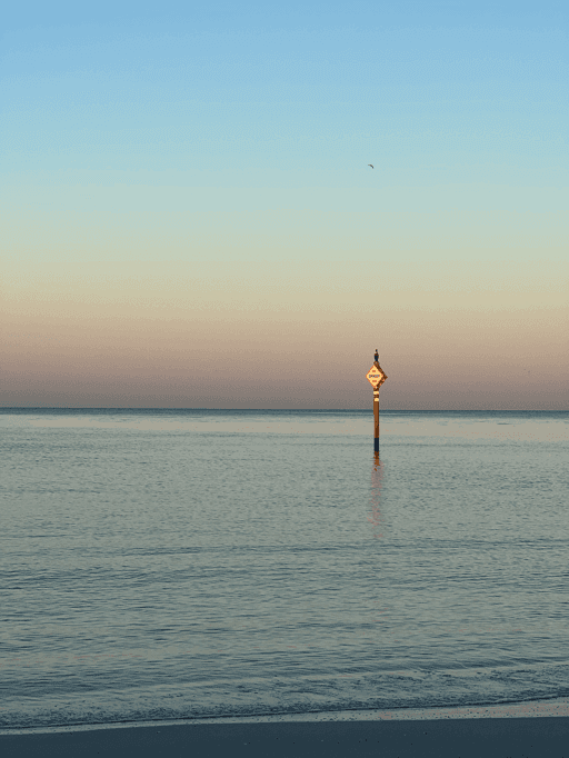 calm waters on a morning walk