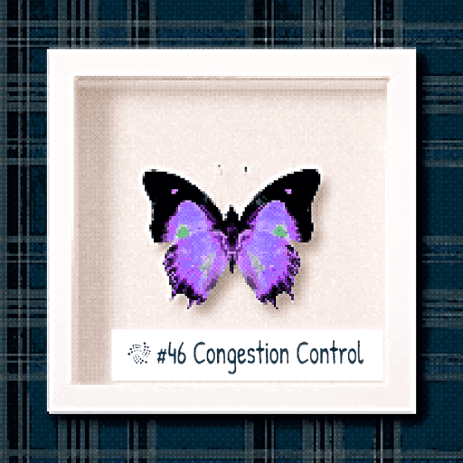 #46 Congestion Control