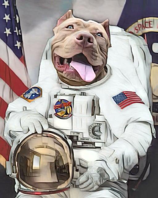 Astronautdog #21