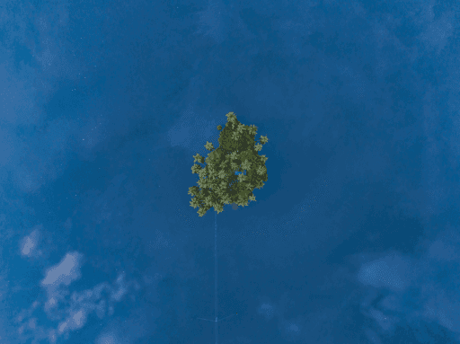 Island in the Sky