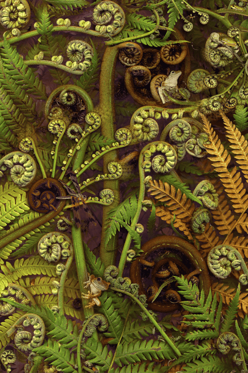 Treefern