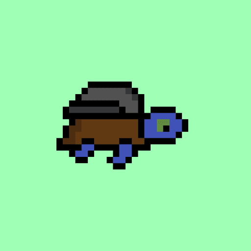 Zeno Turtle #2163