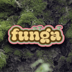 Funga & Friends