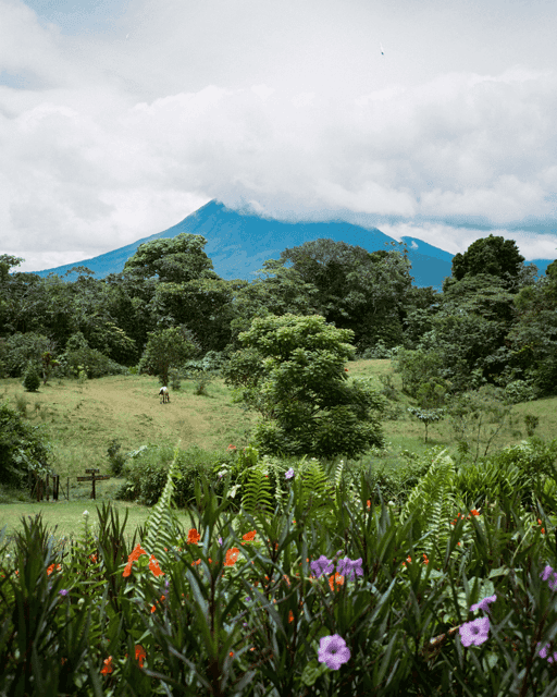 17- Arenal, Costa Rica