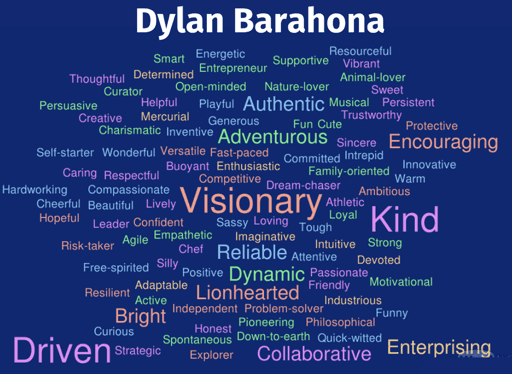 100 Things I Love About Dylan