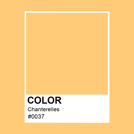 The Colors #0037