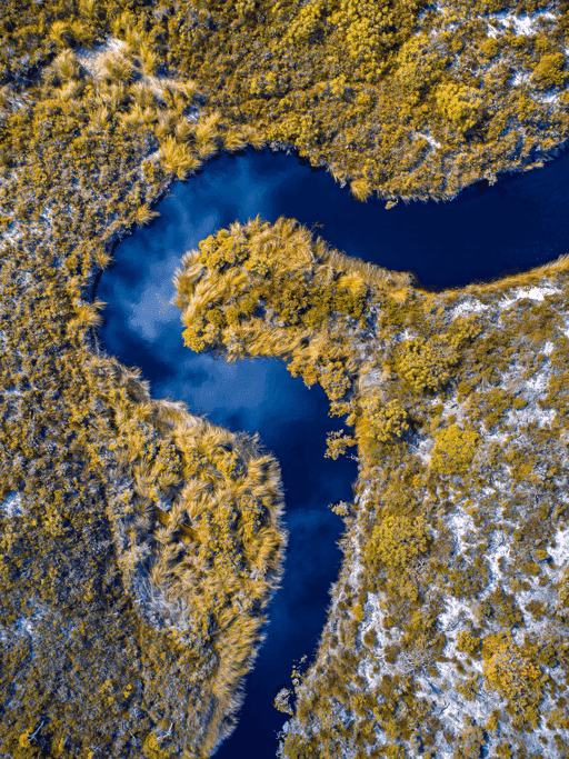 Southern Aerial Abstract