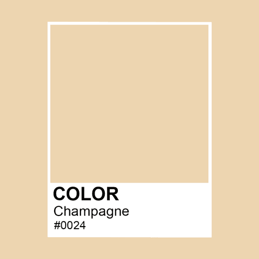 The Colors #0024