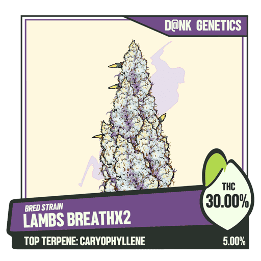 WEEDGANG.GAME - BRED STRAIN