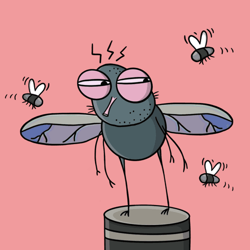 Bored Flies Shit Club #44