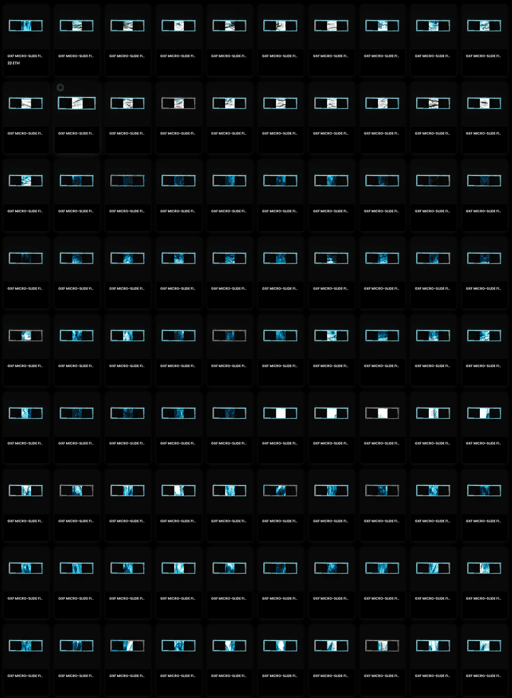 GXF Micro-Slide Fingerprints (Negative OE)