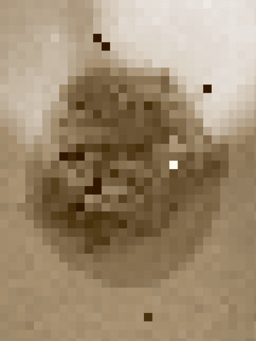 pixelated shit #41