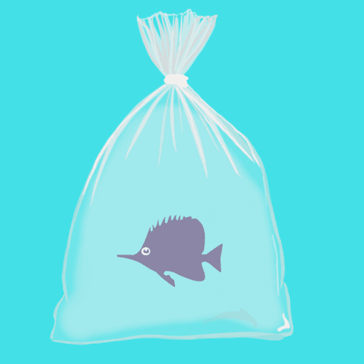 Feesh #4290 "Bluey"