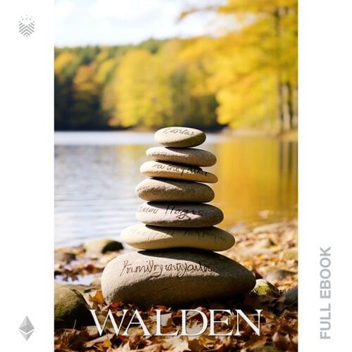 Walden #15