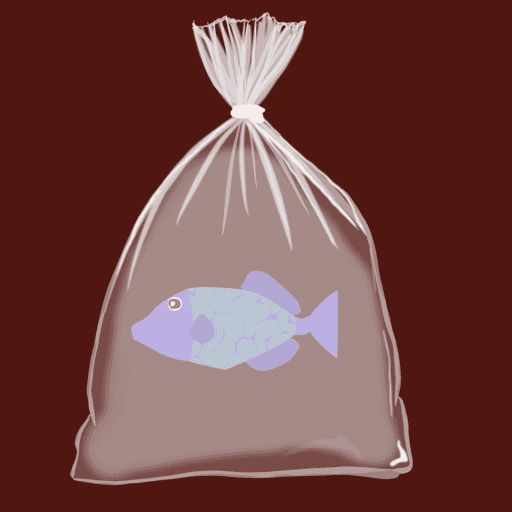 Feesh #3527 "FeeshThree"