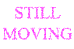 Still Moving by Nathaniel Stern and Sasha Stiles