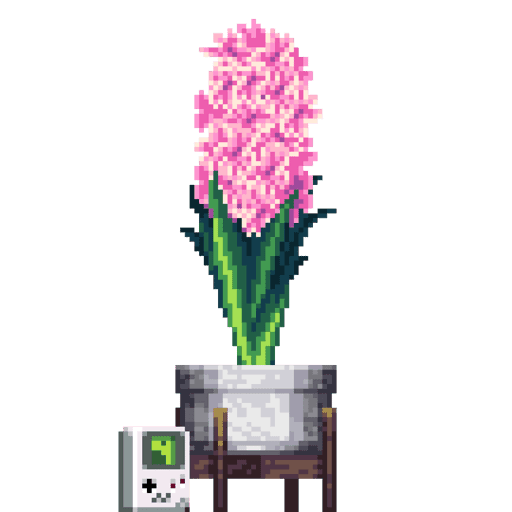 Pink Hyacinth in Elevated Marble pot with Gameboy