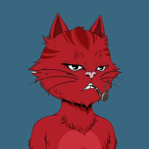 Angry Cat YC #1605