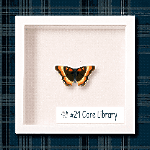 #21 Core Library