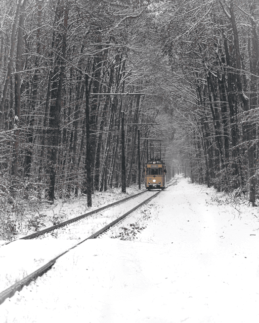 Winter Tram