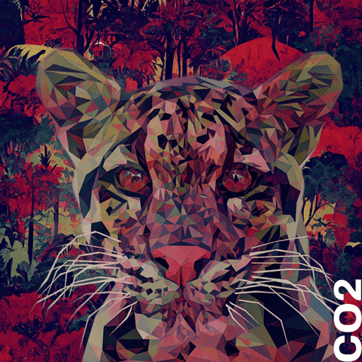 Clouded Leopard #120