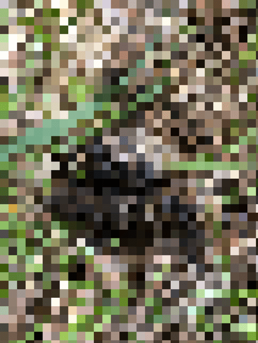 pixelated shit #47