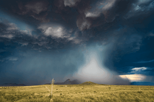 Desert Downpour