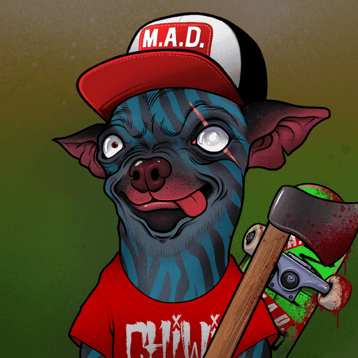 Mad Chihuahua #27