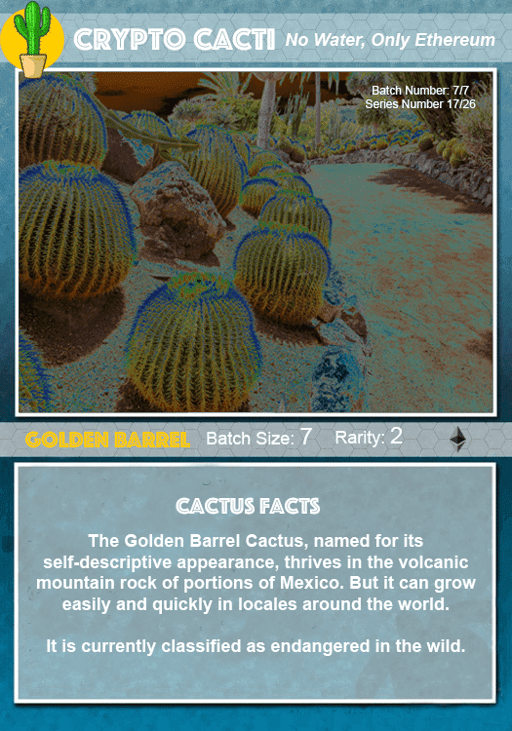 Crypto Cacti - Golden Barrel (7/7)