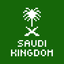 The Saudi Kingdom