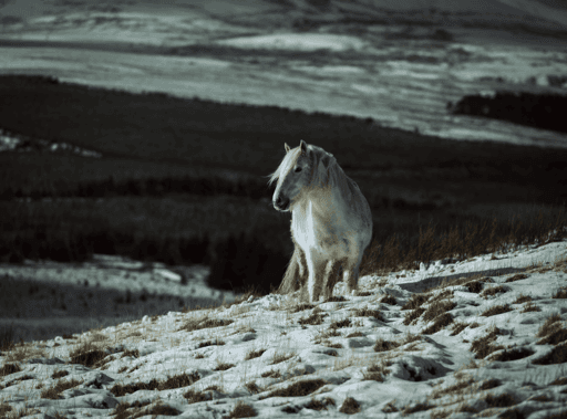 Great mell Fell  #1/100