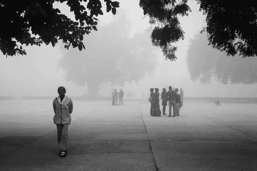 Morning at Taj