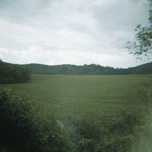 Shot on Holga #16: Sea of Green