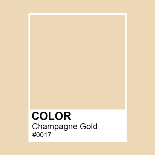 The Colors #0017